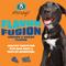 Show in main carousel: Etta Says! Fusion Gourmet Adult Cheddar & Bone Bacon Flavor Natural Dog Chew Treats, 1 count slide 3 of 9