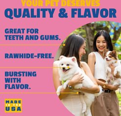 Etta Says! Fusion Gourmet Adult Salmon & Sweet Potato Flavor Natural Dog Chew Treats, 1 count slide 2 of 7