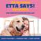 Show in main carousel: Etta Says! Fusion Gourmet Adult Salmon & Sweet Potato Flavor Natural Dog Chew Treats, 12 count slide 6 of 8