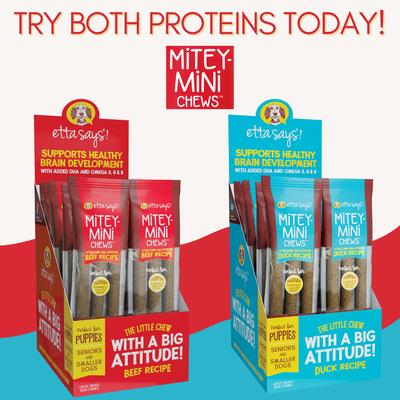 Show full view: Etta Says! Mitey Mini Chews Beef Recipe Dog Treats, 18 count slide 8 of 10