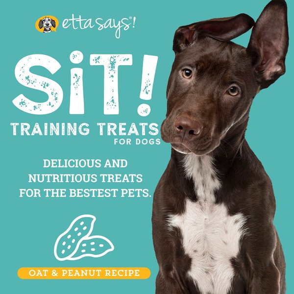 Etta Says! Sit! Training Treats Peanut Butter Recipe Dog Treats