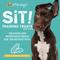 Show in main carousel: Etta Says! Sit! Training Treats Peanut Butter Recipe Dog Treats, 6-oz bag slide 3 of 11