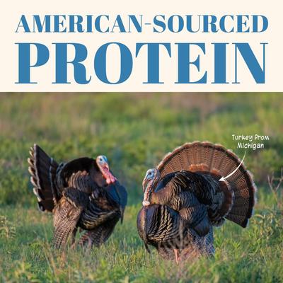 Show full view: Etta Says! Turkey Yumm Sticks Human Grade Turkey Jerky Dog Treats, 24 count slide 4 of 13