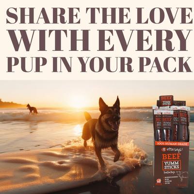 Show full view: Etta Says! Turkey Yumm Sticks Human Grade Turkey Jerky Dog Treats, 24 count slide 10 of 13