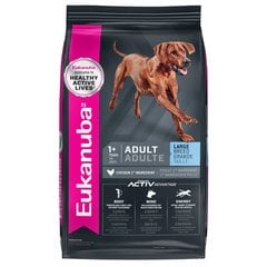 Eukanuba Adult Large Breed Dry Dog Food, 16-lb bag