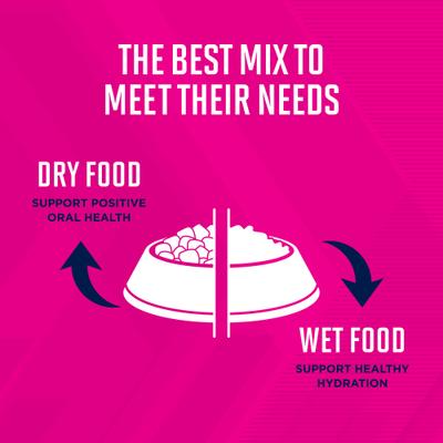 Show full view: Eukanuba Adult with Lamb & Rice Canned Dog Food, 13.2-oz, case of 12 slide 4 of 10