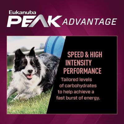 Show full view: Eukanuba Premium Performance 21/13 SPRINT Dry Dog Food, 4.5-lb bag slide 5 of 13