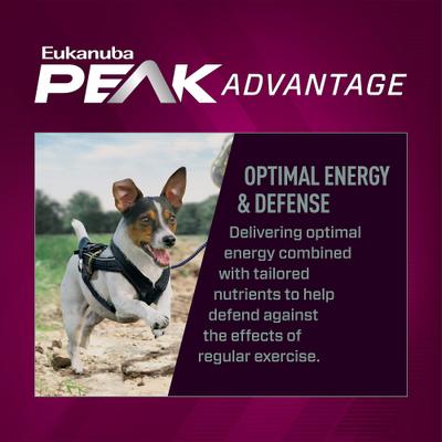 Show full view: Eukanuba Premium Performance 26/16 Exercise Small Bites Adult Dog Food, 28-lb Bag slide 6 of 10