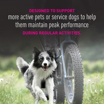 Show full view: Eukanuba Premium Performance 26/16 Exercise Small Bites Adult Dog Food, 3.5-lb bag slide 8 of 11