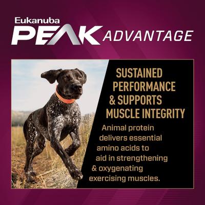 Show full view: Eukanuba Premium Performance 30/20 SPORT Dry Dog Food, 28-lb bag slide 5 of 13