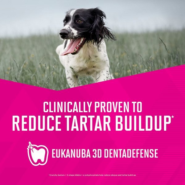 Dogs Eukanuba 30 20 Premium Performance Eukanuba Premium Sport