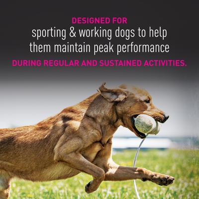 Show full view: Eukanuba Premium Performance 30/20 Sport Small Bites Adult Dog Food, 28-lb Bag slide 8 of 11