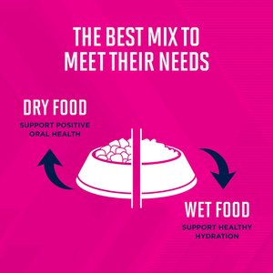 Eukanuba Puppy Small Breed Dry Dog Food, 4.5-lb bag