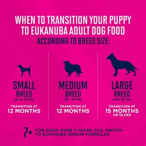 Eukanuba Puppy Small Breed Dry Dog Food, 4.5-lb bag