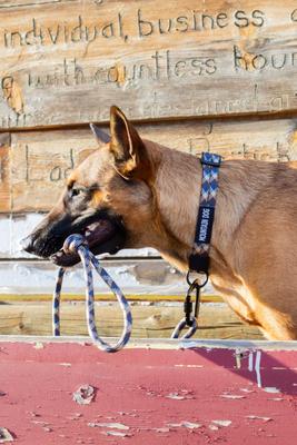 Show full view: Euro-Dog 6-ft Mountain Argyle Climbing Rope Dog Leash, Mountain Argyle slide 4 of 10