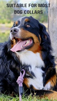 Show full view: Euro-Dog 6-ft Mountain Blush Climbing Rope Dog Leash, Mountain Blush slide 6 of 10