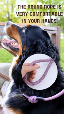 Show full view: Euro-Dog 6-ft Mountain Blush Climbing Rope Dog Leash, Mountain Blush slide 8 of 10