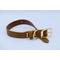 Show in main carousel: Euro-Dog Celtic Gold Style Leather Dog Collar, Earth Brown, Large slide 2 of 7