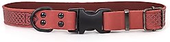Euro-Dog Celtic Sport Style Luxury Leather Dog Collar, Coral, X-Small