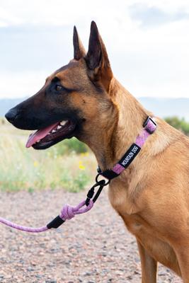 Show full view: Euro-Dog Climbing Rope Dog Collar, Mountain Blush, Large slide 4 of 11