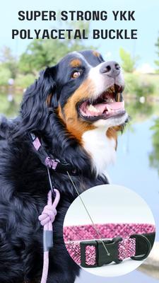 Show full view: Euro-Dog Climbing Rope Dog Collar, Mountain Blush, Medium slide 8 of 11