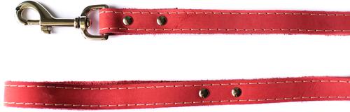 Show full view: Euro-Dog Leather Dog Leash, Coral, 6-ft long, 3/4-in wide slide 2 of 5