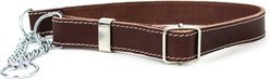Euro-Dog Luxury Leather Martingale Dog Collar, Burgundy, Medium