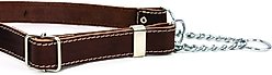 Euro-Dog Luxury Leather Martingale Dog Collar, Burgundy, Medium slide 2 of 6
