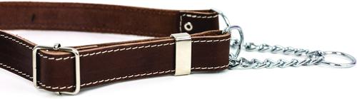 Show full view: Euro-Dog Luxury Leather Martingale Dog Collar, Burgundy, Medium slide 2 of 8
