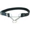 Show in main carousel: Euro-Dog Modern Leather Martingale Dog Collar, Blue Jeans, X-Small: 9 to 12-in neck slide 3 of 8