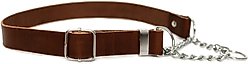 Euro-Dog Modern Leather Martingale Dog Collar, Chocolate, Medium: 12 to 18-in neck