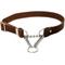 Show in main carousel: Euro-Dog Modern Leather Martingale Dog Collar, Chocolate, Medium: 12 to 18-in neck slide 3 of 8