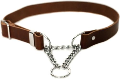 Show full view: Euro-Dog Modern Leather Martingale Dog Collar, Chocolate, Medium: 12 to 18-in neck slide 3 of 8
