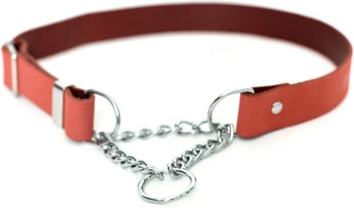 Show full view: Euro-Dog Modern Leather Martingale Dog Collar, Coral Reef, X-Small: 9 to 12-in neck slide 2 of 7