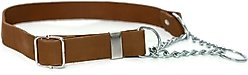 Euro-Dog Modern Leather Martingale Dog Collar, Earth Brown, X-Large: 16 to 26-in neck