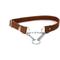 Show in main carousel: Euro-Dog Modern Leather Martingale Dog Collar, Earth Brown, X-Small: 9 to 12-in neck slide 2 of 7