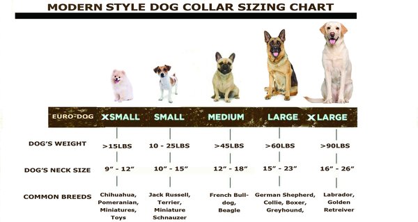 Show full view: Euro-Dog Modern Leather Martingale Dog Collar, Earth Brown, X-Small: 9 to 12-in neck slide 5 of 7