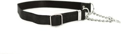 Euro-Dog Modern Leather Martingale Dog Collar, Midnight Black, Large: 15 to 23-in neck