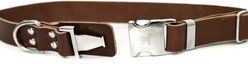 Euro-Dog Modern Leather Quick Release Dog Collar, Chocolate, Medium: 12 to 18-in neck slide 2 of 6
