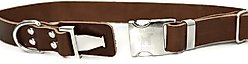 Euro-Dog Modern Leather Quick Release Dog Collar, Chocolate, X-Large: 16 to 26-in neck slide 2 of 6
