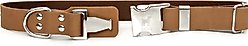 Euro-Dog Modern Leather Quick Release Dog Collar, Khaki, Large: 15 to 23-in neck slide 2 of 6
