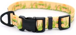 Euro-Dog Outdoor Style Nylon Dog Collar, Cactus Cream, Small: 11 to 16-in neck, 5/8-in wide