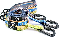 Euro-Dog Outdoor Style Nylon Dog Leash, 6-ft long, 3/4-in wide, Frozen Forest slide 2 of 3