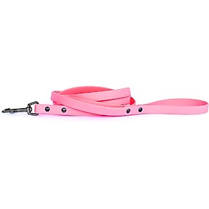 Euro-Dog PVC Dog Leash, Coral, 6-ft long, 5/8-in wide