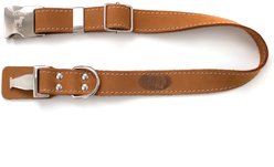 Euro-Dog Quick Release Leather Dog Collar, Bark Brown, Small: 10 to 15-in neck slide 2 of 5