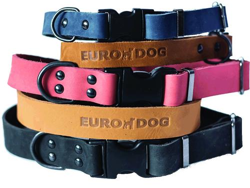 Show full view: Euro-Dog Sport Style Luxury Leather Dog Collar, Black, X-Small slide 7 of 9