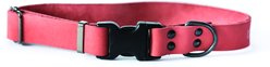 Euro-Dog Sport Style Luxury Leather Dog Collar, Coral, Medium
