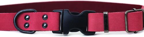 Show full view: Euro-Dog Sport Style Luxury Leather Dog Collar, Coral, Medium slide 2 of 8