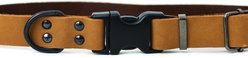 Euro-Dog Sport Style Luxury Leather Dog Collar, Tan, Medium slide 2 of 6