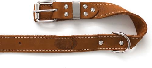 Show full view: Euro-Dog Traditional Leather Dog Collar, Bark Brown, Large: 14 to 19-in neck slide 3 of 7